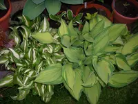 DSCI0758.jpg