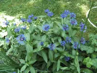 BILD9454.webp