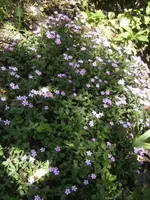 BILD9450.webp