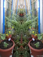c058.webp