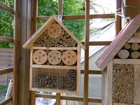 P1020398Insektenhotel.jpg