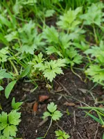 20180512_140615.webp