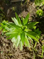 20180512_172135.webp 20180512_172135.webp