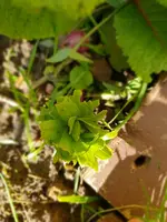 20180512_172143.webp 20180512_172143.webp