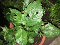 IMG_0456.webp