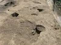 k-P1130192.webp k-P1130192.webp