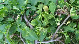 IMG_20180512_190309.webp