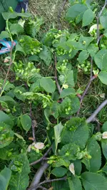 IMG_20180512_190315.webp