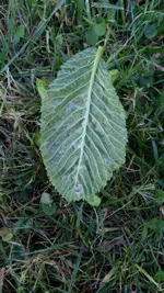 IMG_20180512_190338.webp