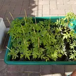 20180512_164505.webp