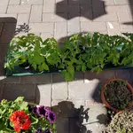 20180512_164524.jpg