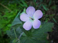 DSCF1014 (2).webp