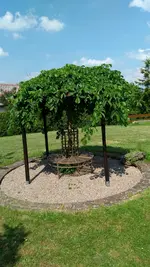 IMG_20180513_120748.webp