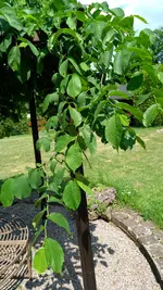 IMG_20180513_120808.webp