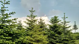 IMG_20180512_161613964_HDR.webp