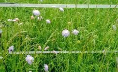 IMG_20180512_162328686.webp