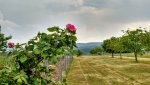 IMG_20180512_163912461_HDR.jpg