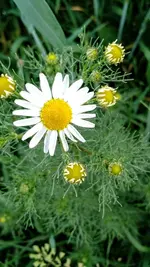 IMG_20180512_164220122.webp