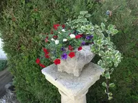 DSC04005.webp