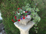 DSC04005.png