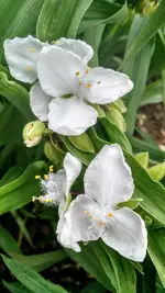 IMG_20180512_141558766_HDR.webp