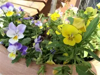 DSC04020.webp