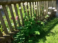 IMG_20180513_112046170.webp