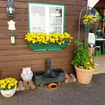 180512   Schuppen in Gelb.webp