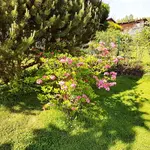 180512 Mediterrane Wirkung.webp