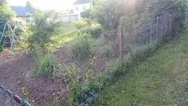 IMG_20180513_191924.webp