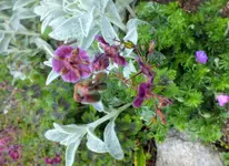 DSCF1022 (2).webp