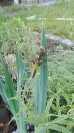 IMG_20180512_092851.jpg