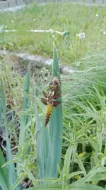 IMG_20180512_092842.jpg