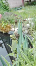 IMG_20180511_104737.jpg