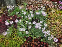 DSCF1038 (2).webp