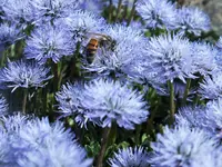 DSCF0971 (2).webp