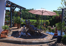 Teichdeck bezugsbereit_900.webp
