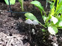 20180514_122552.webp