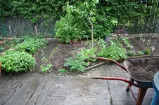 Gemüsegarten Mai.jpg