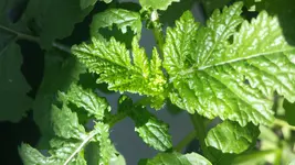 20180514_151438.webp