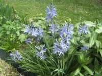 BILD9369.webp