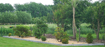 Erstanlage_Juni 2010.jpg