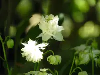 6B6807D3-B2E6-4E94-9114-AF50179C6D0B.webp