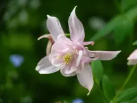 15502D31-7B0B-4F11-B76D-D7D72F015DF4.webp