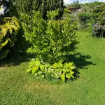 20180512_164911.jpg