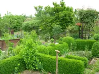 IMG_6126.webp