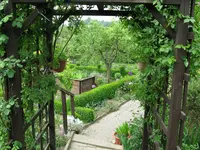 IMG_6129.webp