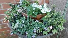 IMG_20180514_164958.webp