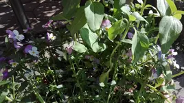 IMG_20180514_164911.webp