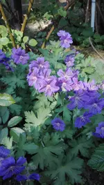 IMG_20180514_162254.webp